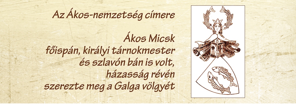 024micsk